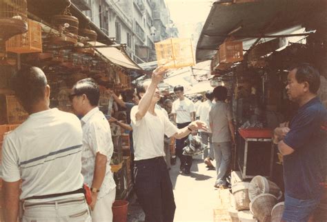 養雀仔|養雀文化｜「雀仔街」予舊香港最温柔的印